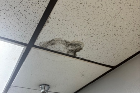 5 Signs You May Have a Mold Problem Thumbnail