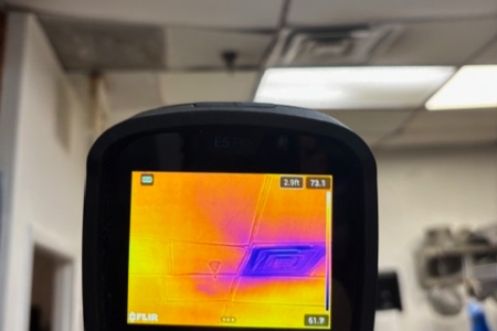 The Hidden Health Defender: The Top Benefits of Professional Mold Testing