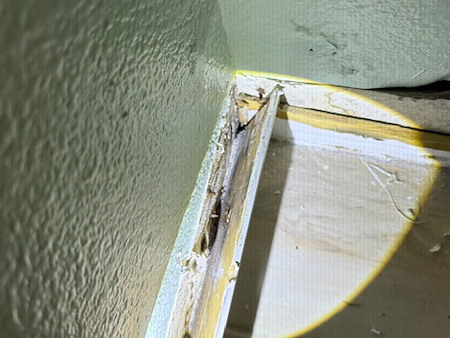 Warning Signs That You May Have Mold in Your Home
