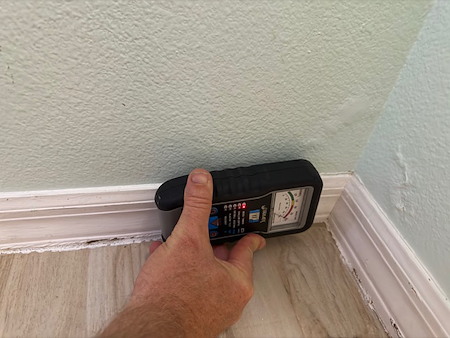 Why Mold Testing Matters for Your Home or Business