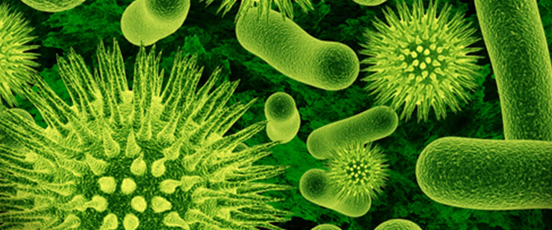 Precision Mold Testing Background