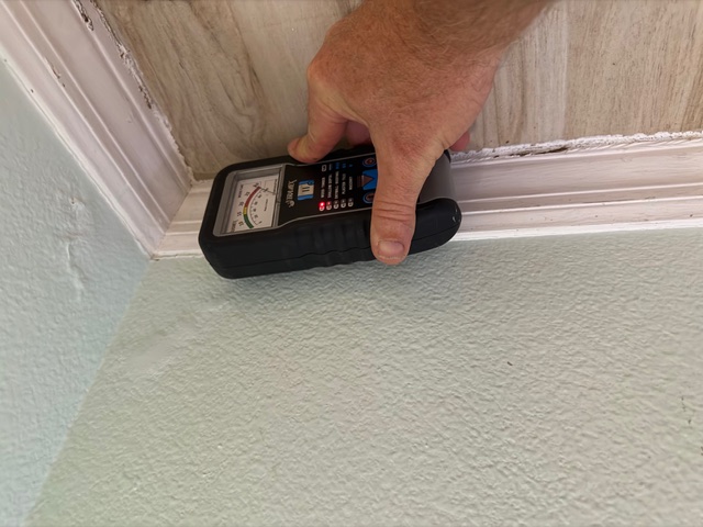 Mold assessment and Air Quality Rotunda West Florida
