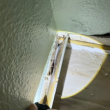 Mold-assessment-and-Air-Quality-Rotunda-West-Florida 1