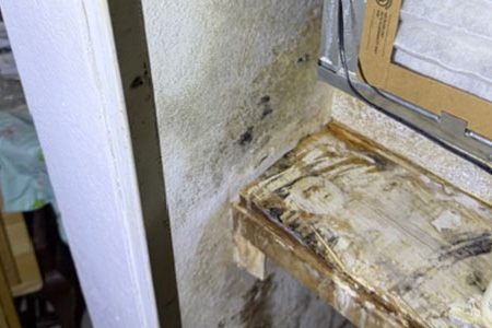 Mold remediation protocols