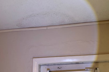 Mold testing inspection